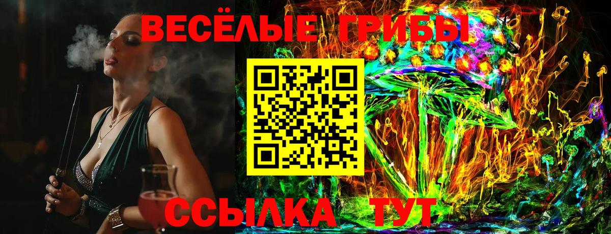 Галлюциногенные грибы Magic Shrooms Сибай