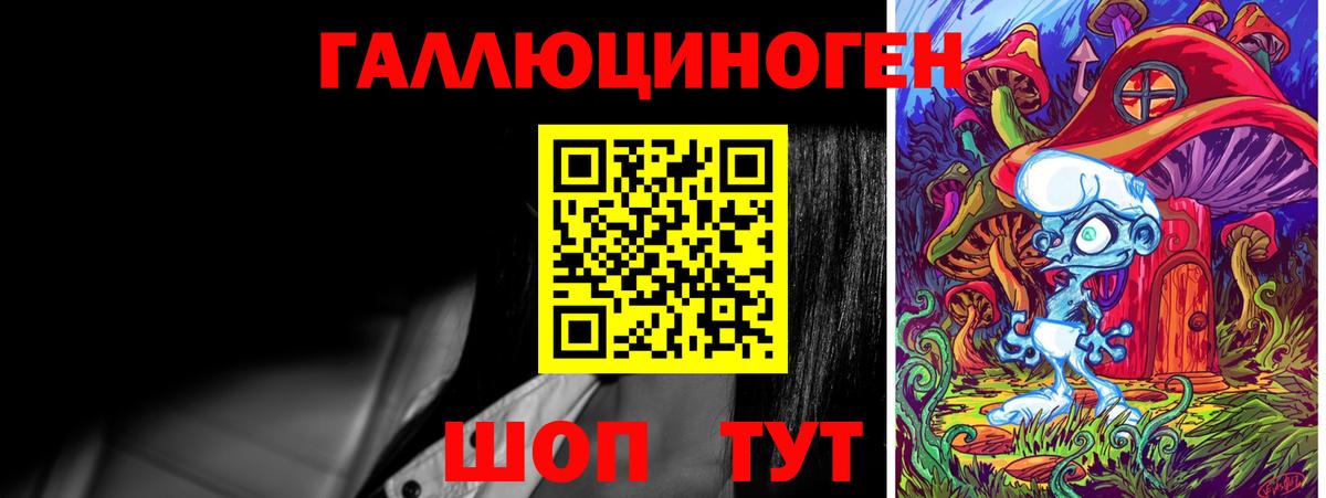 Сибай  Галлюциногенные грибы Psilocybine cubensis  Вход с VPN 